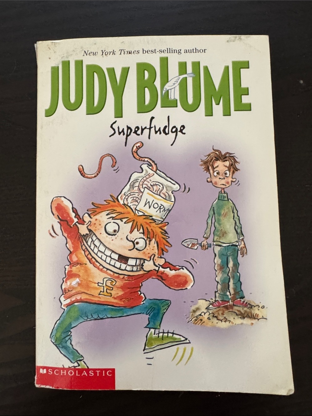 Judy Blume Superfudge